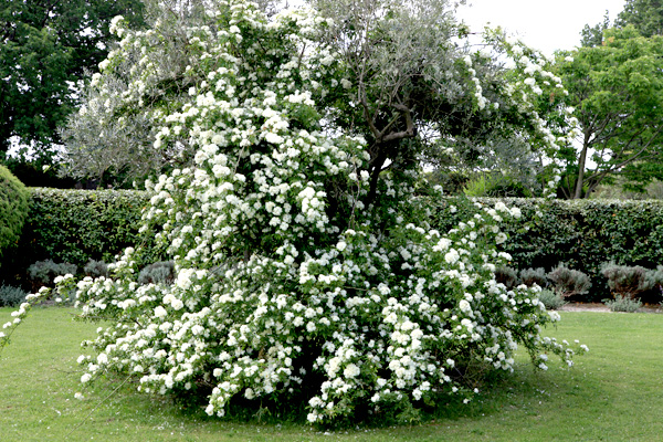 Les jardins de Payan
